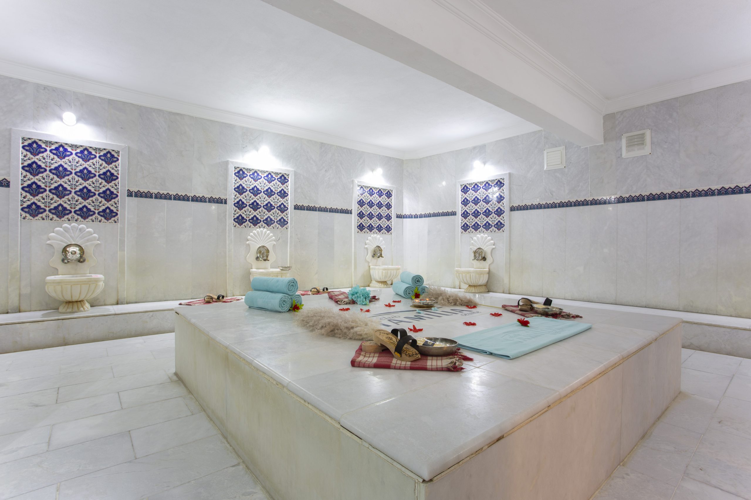 SPA & Wellness 2